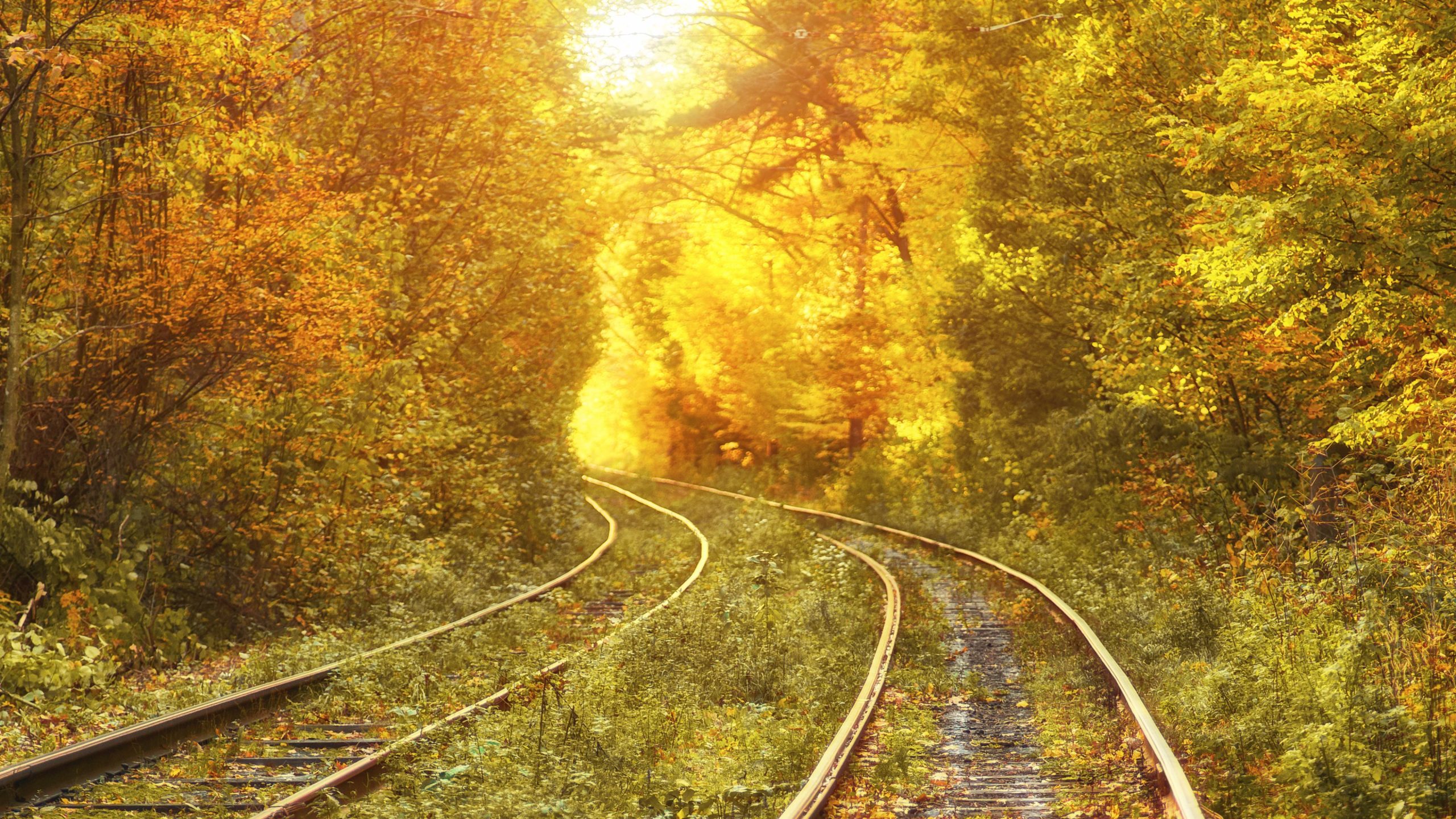 PER A UN FINAL DIGNE.  “BAIXAR-SE DEL TREN”, UN DRET A ASSOLIR